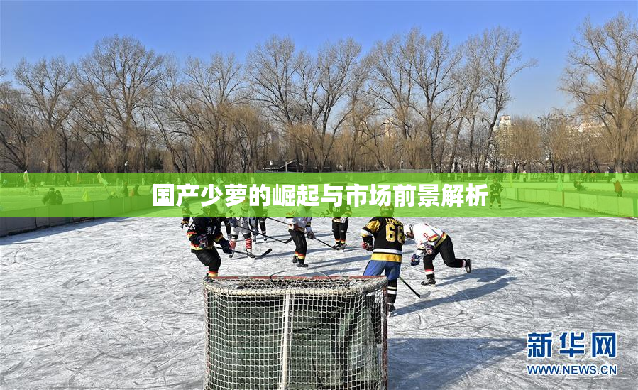 国产少萝的崛起与市场前景解析