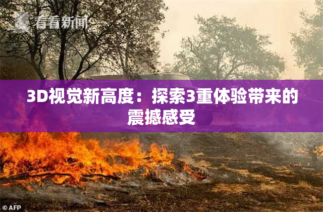 3D视觉新高度：探索3重体验带来的震撼感受