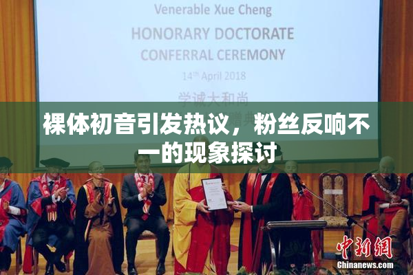 裸体初音引发热议，粉丝反响不一的现象探讨