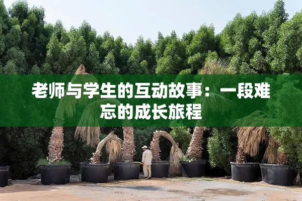 老师与学生的互动故事：一段难忘的成长旅程