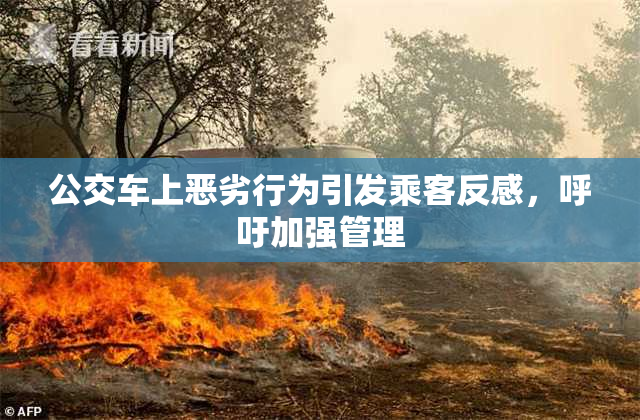 公交车上恶劣行为引发乘客反感，呼吁加强管理