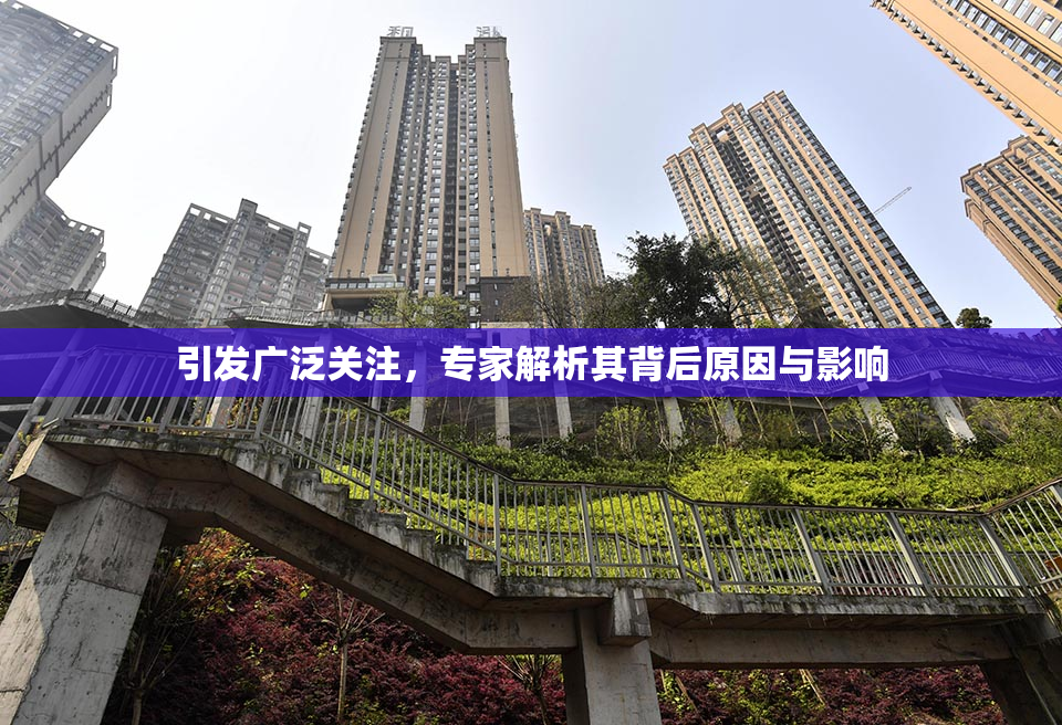 引发广泛关注，专家解析其背后原因与影响