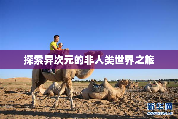 探索异次元的非人类世界之旅