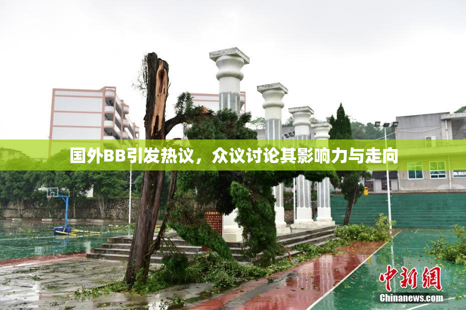 国外BB引发热议，众议讨论其影响力与走向