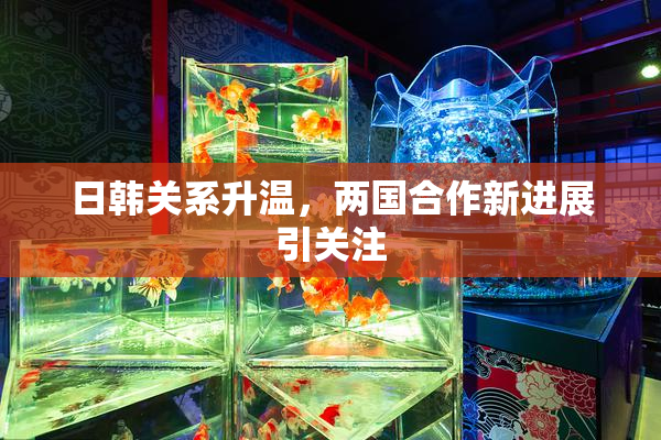 日韩关系升温，两国合作新进展引关注