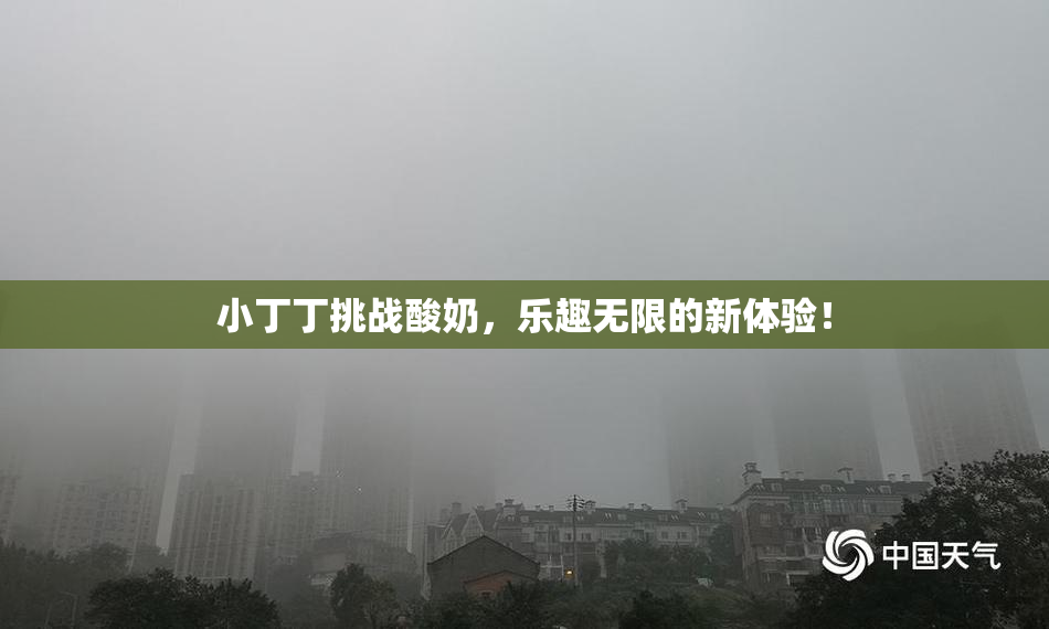 小丁丁挑战酸奶，乐趣无限的新体验！