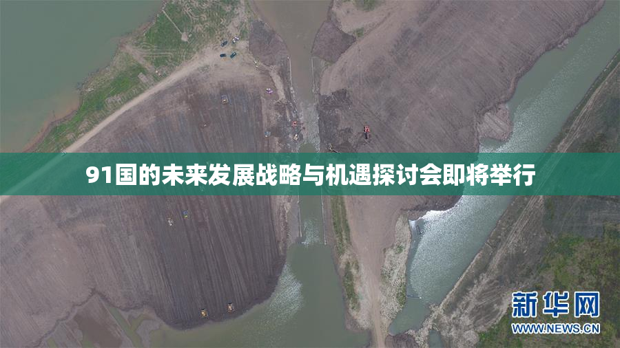 91国的未来发展战略与机遇探讨会即将举行