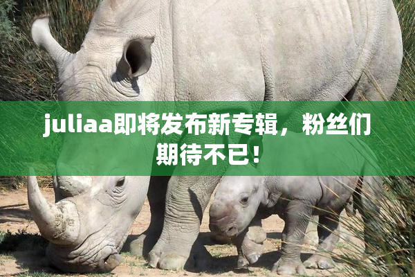 juliaa即将发布新专辑，粉丝们期待不已！