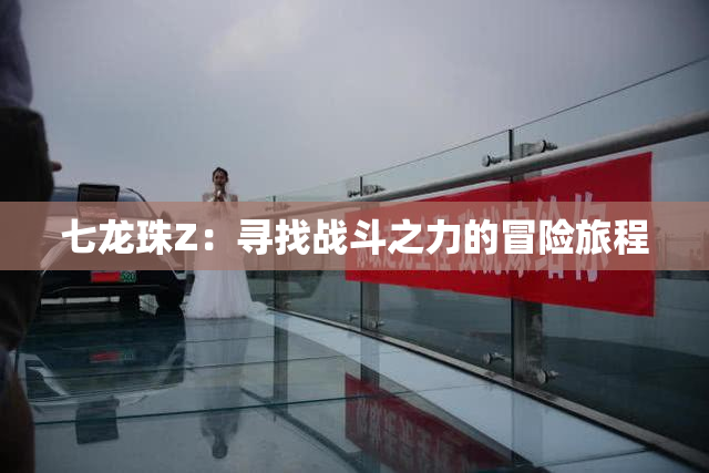 七龙珠Z：寻找战斗之力的冒险旅程