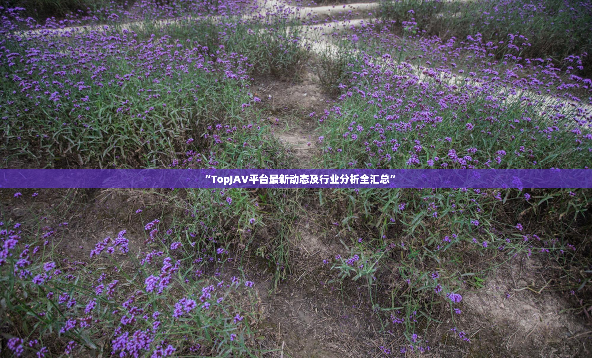 “TopJAV平台最新动态及行业分析全汇总”