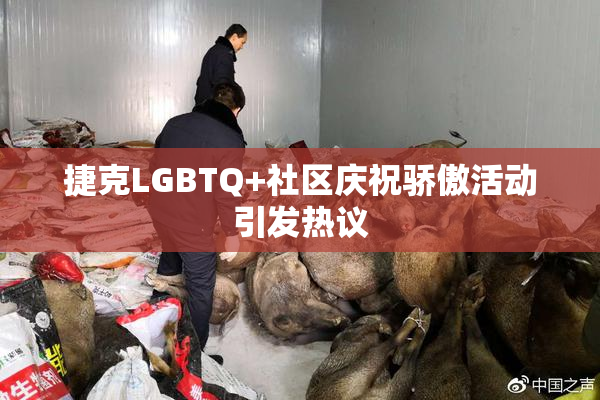捷克LGBTQ+社区庆祝骄傲活动引发热议