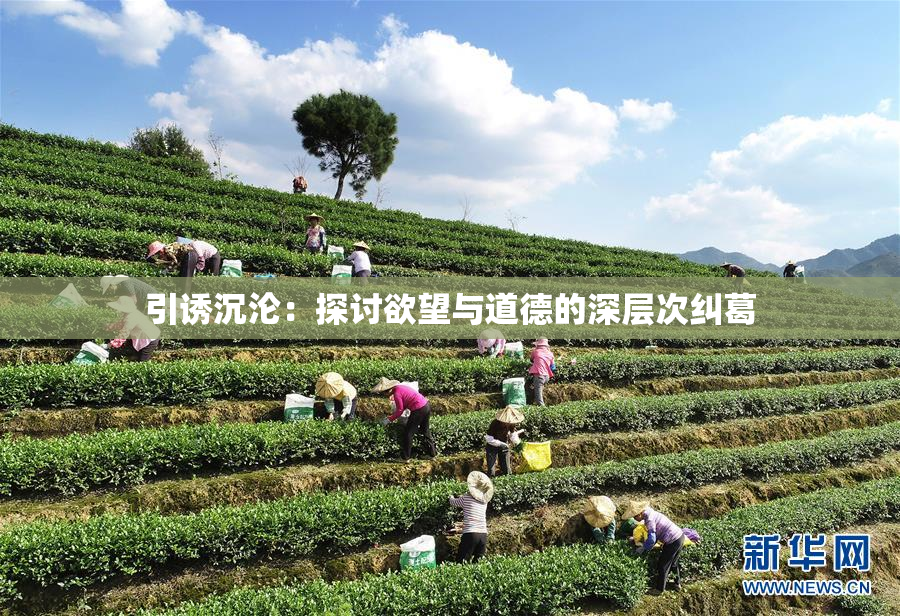 引诱沉沦：探讨欲望与道德的深层次纠葛
