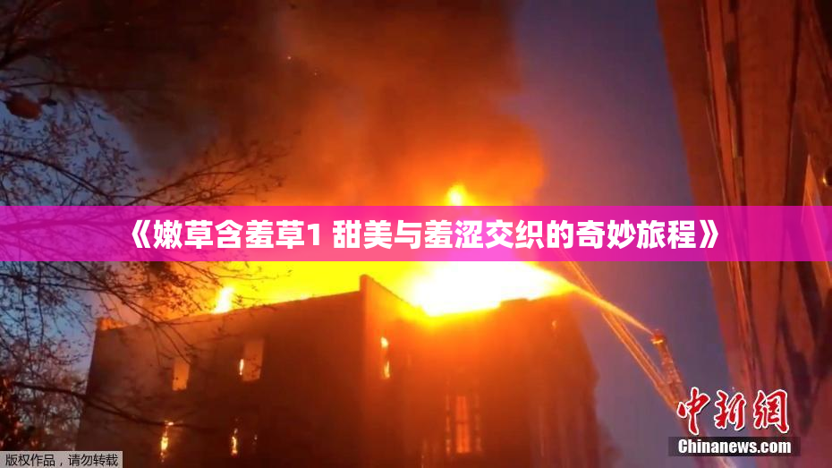 《嫩草含羞草1 甜美与羞涩交织的奇妙旅程》