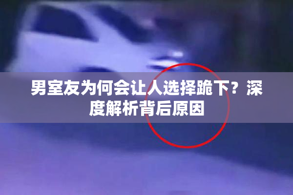 男室友为何会让人选择跪下？深度解析背后原因