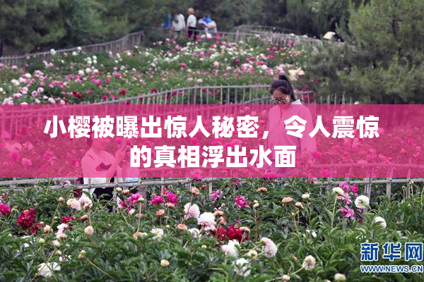 小樱被曝出惊人秘密，令人震惊的真相浮出水面