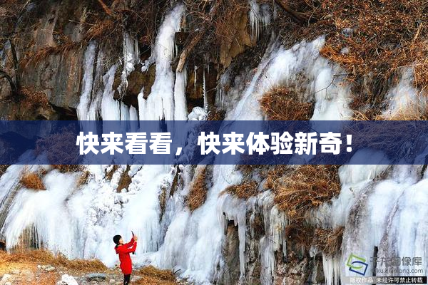 快来看看，快来体验新奇！