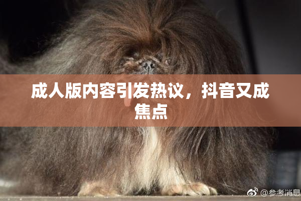 成人版内容引发热议，抖音又成焦点