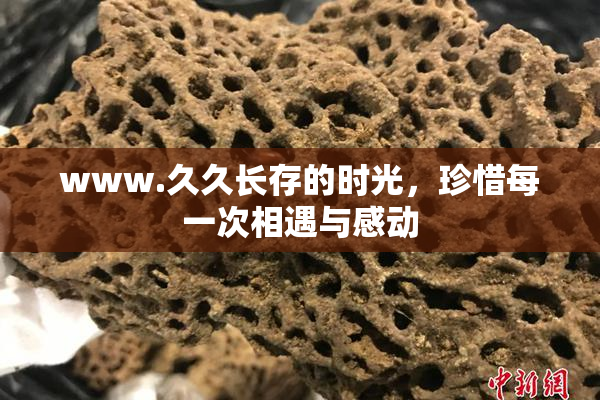 www.久久长存的时光，珍惜每一次相遇与感动