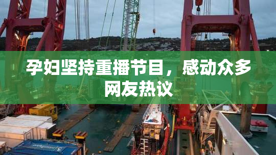 孕妇坚持重播节目，感动众多网友热议