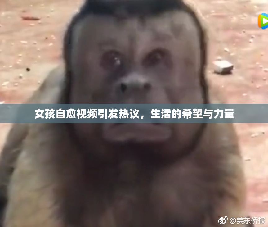 女孩自愈视频引发热议，生活的希望与力量