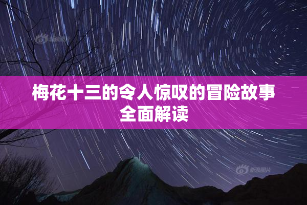 梅花十三的令人惊叹的冒险故事全面解读