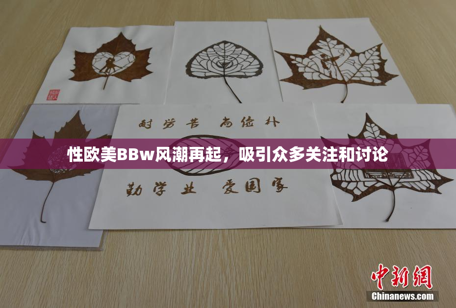 性欧美BBw风潮再起，吸引众多关注和讨论