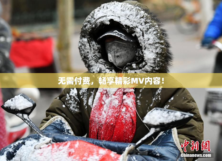 无需付费，畅享精彩MV内容！