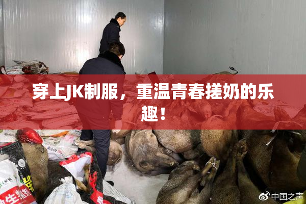 穿上JK制服，重温青春搓奶的乐趣！