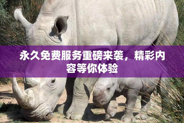 永久免费服务重磅来袭，精彩内容等你体验