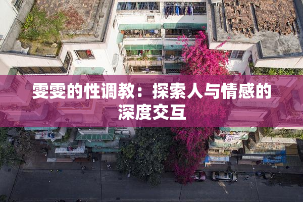 雯雯的性调教：探索人与情感的深度交互