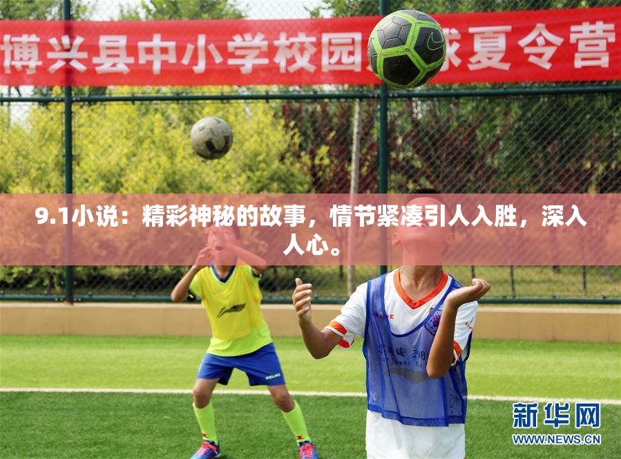 9.1小说：精彩神秘的故事，情节紧凑引人入胜，深入人心。