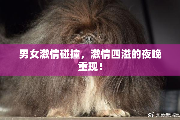 男女激情碰撞，激情四溢的夜晚重现！