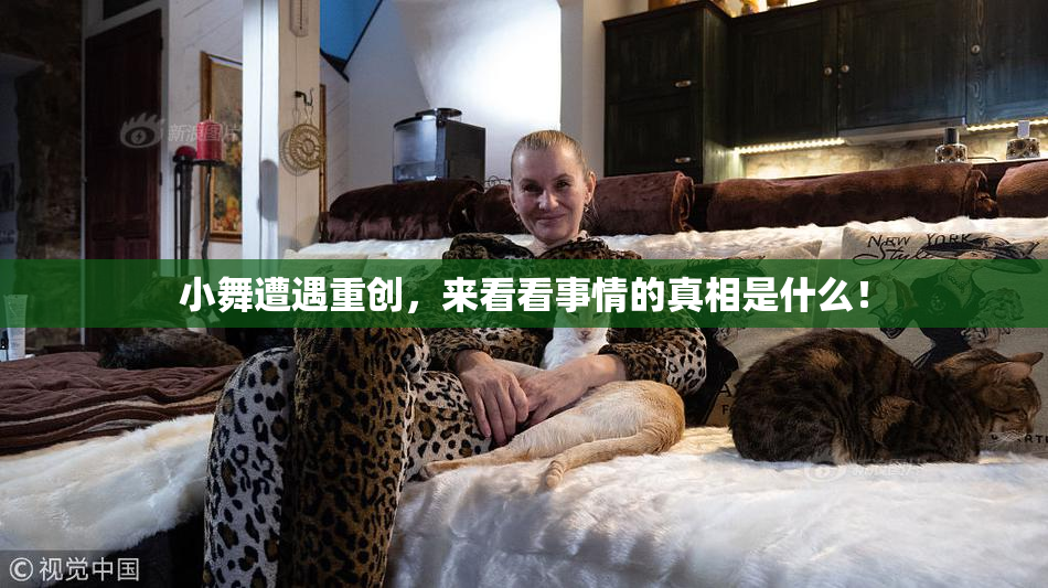 小舞遭遇重创，来看看事情的真相是什么！