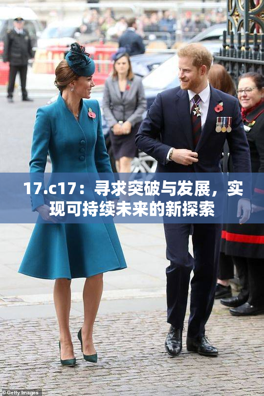 17.c17：寻求突破与发展，实现可持续未来的新探索