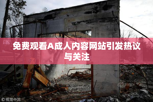 免费观看A成人内容网站引发热议与关注