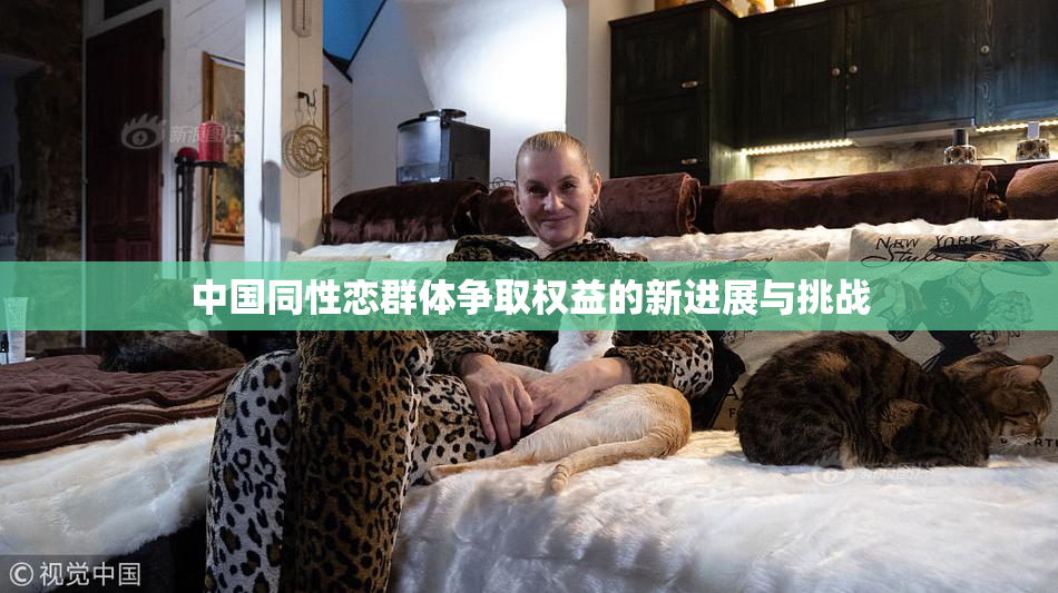 中国同性恋群体争取权益的新进展与挑战