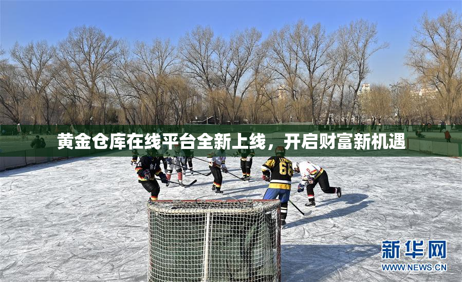 黄金仓库在线平台全新上线，开启财富新机遇