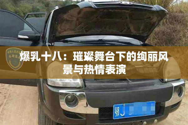 爆乳十八：璀璨舞台下的绚丽风景与热情表演