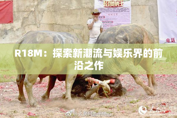 R18M：探索新潮流与娱乐界的前沿之作