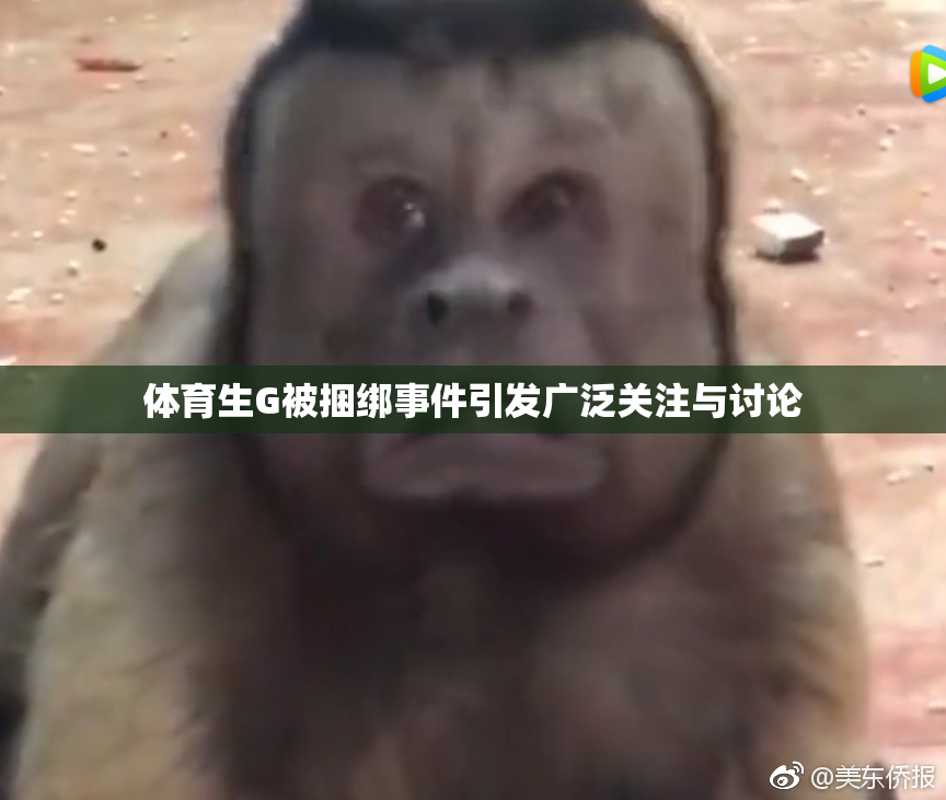 体育生G被捆绑事件引发广泛关注与讨论
