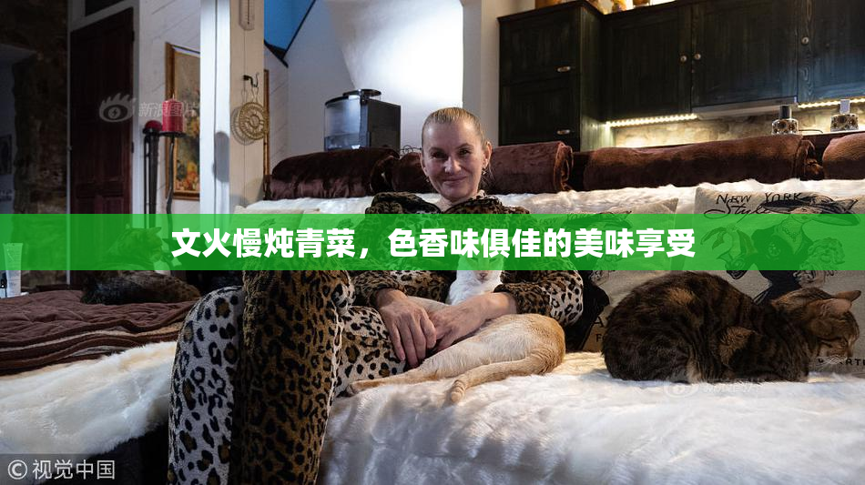 文火慢炖青菜，色香味俱佳的美味享受