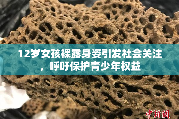 12岁女孩裸露身姿引发社会关注，呼吁保护青少年权益