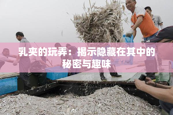乳夹的玩弄：揭示隐藏在其中的秘密与趣味