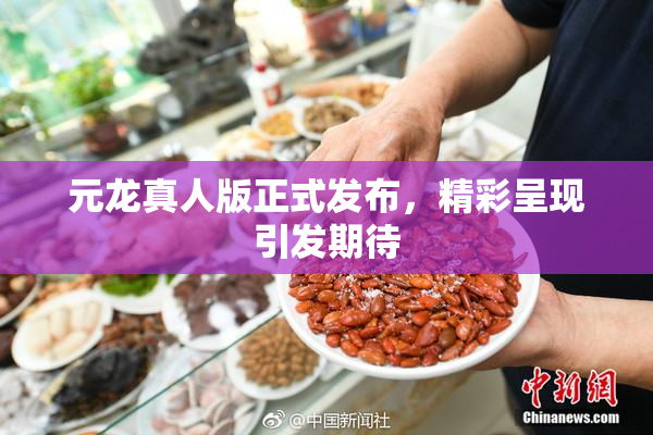 元龙真人版正式发布，精彩呈现引发期待