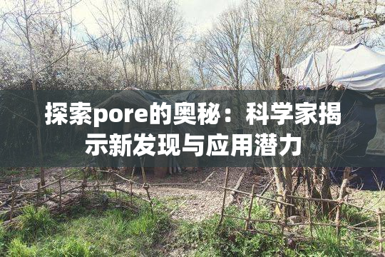 探索pore的奥秘：科学家揭示新发现与应用潜力