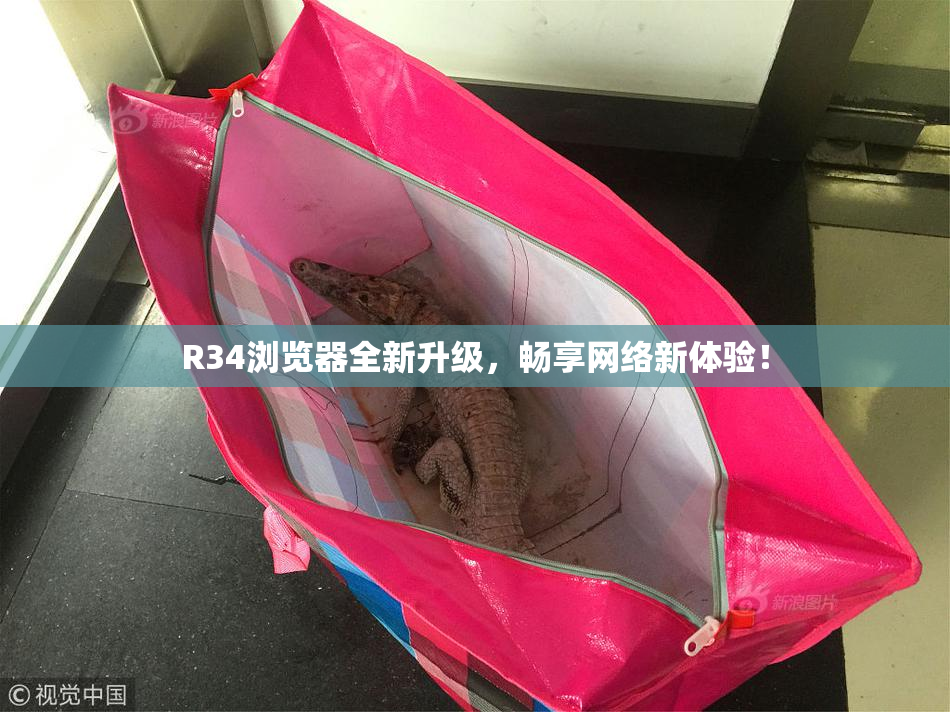 R34浏览器全新升级，畅享网络新体验！