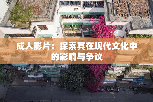 成人影片：探索其在现代文化中的影响与争议