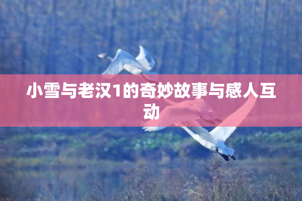 小雪与老汉1的奇妙故事与感人互动