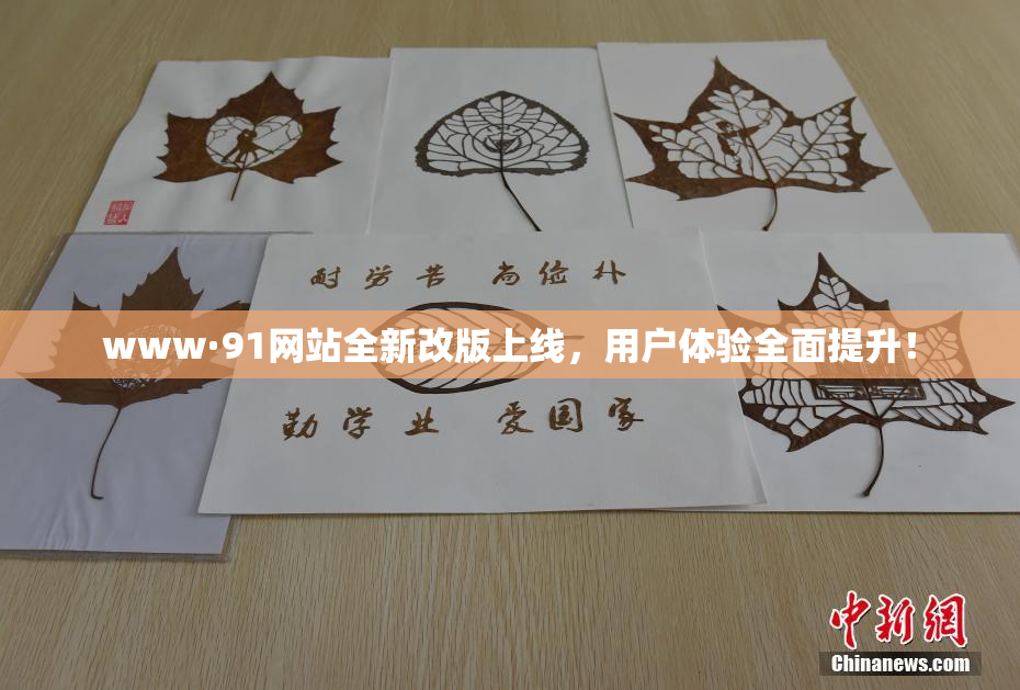 www·91网站全新改版上线，用户体验全面提升！