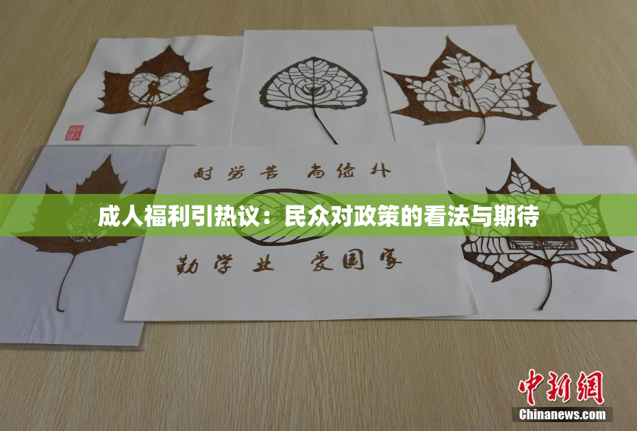 成人福利引热议：民众对政策的看法与期待